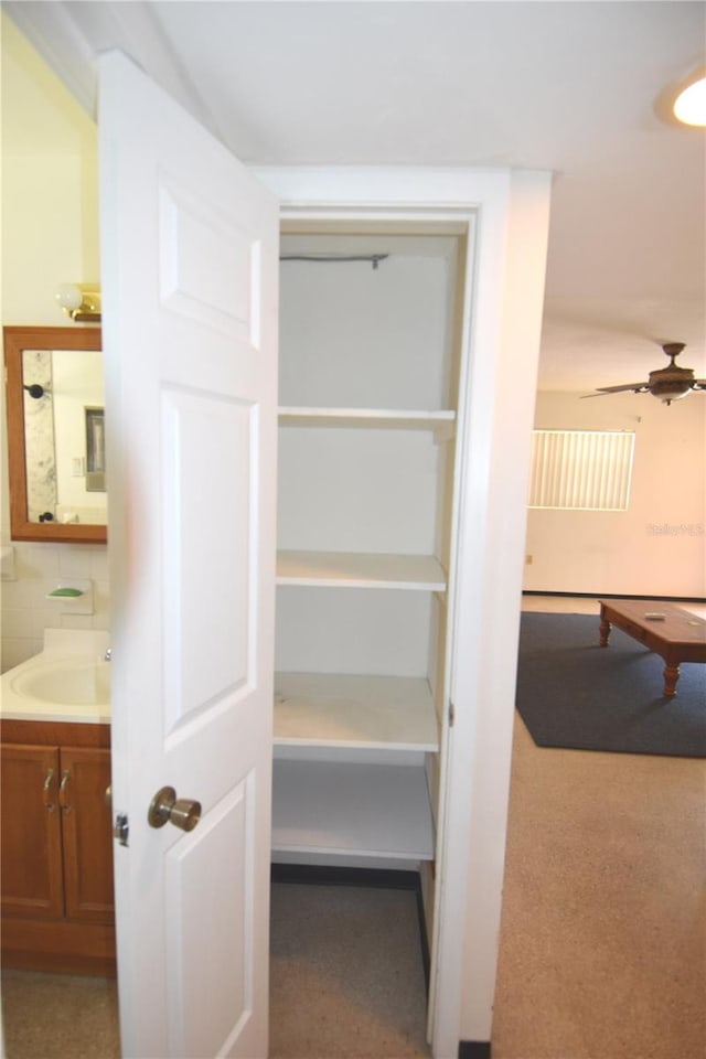 closet featuring a sink