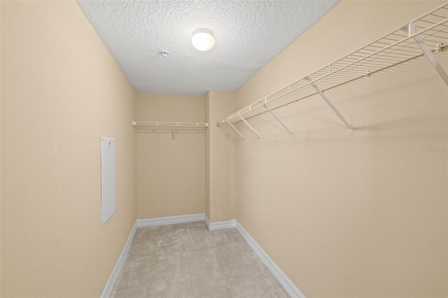 walk in closet featuring light carpet