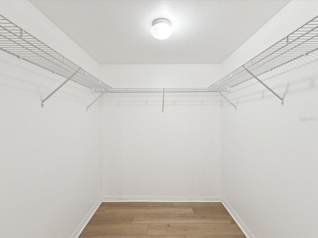5557 Sea Forest Dr Unit 318, New Port Richey, FL 34652 - spacious closet featuring light wood-style floors