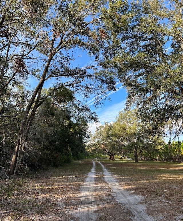 view of road
