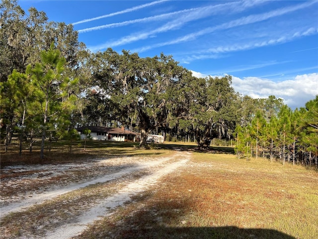 view of street featuring driveway