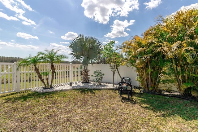 11895 Crestridge Loop, New Port Richey, FL 34655 - view of yard featuring a fenced backyard