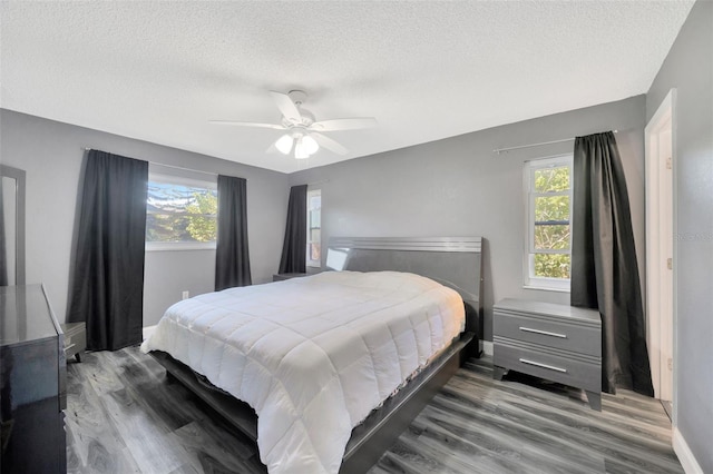 8626 White Springs Dr, New Port Richey, FL 34655 - bedroom featuring a textured ceiling, wood finished floors, and multiple windows