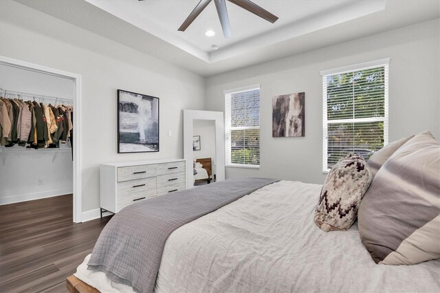 bedroom featuring a tray ceiling, dark wood-style flooring, baseboards, a spacious closet, and a closet