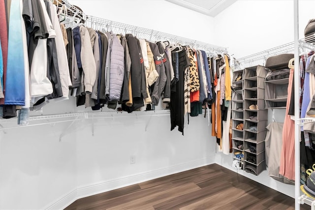 spacious closet with wood finished floors