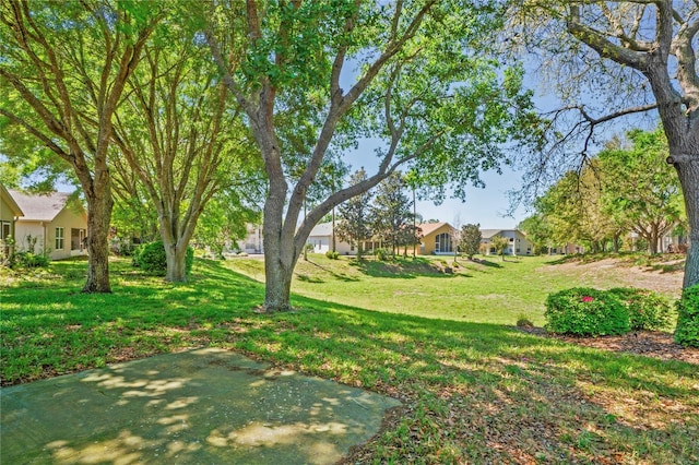 303 Rochester St, Spring Hill, FL 34609 - view of yard