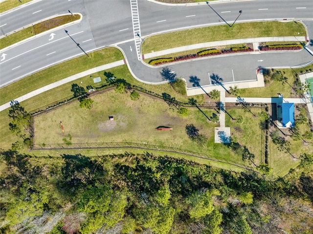 bird's eye view