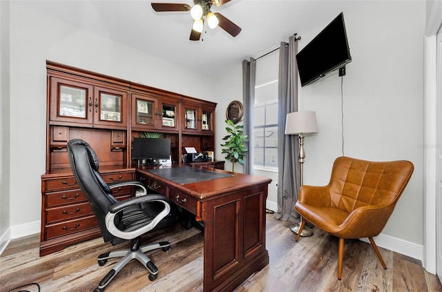 10623 Marsha Dr, New Port Richey, FL 34655 - home office featuring ceiling fan, baseboards, and light wood-style flooring