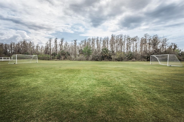 10623 Marsha Dr, New Port Richey, FL 34655 - view of yard with an area for soccer