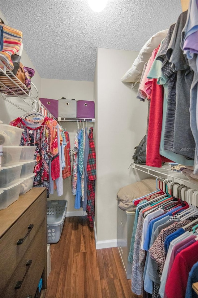 spacious closet featuring wood finished floors