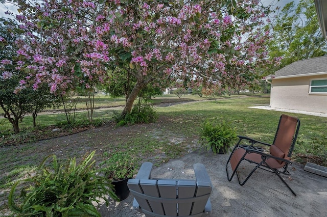 view of yard with a patio area