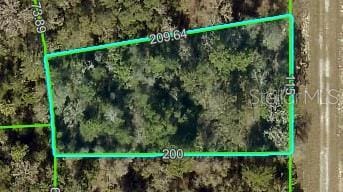0 Curlew Rd, Brooksville, FL 34614