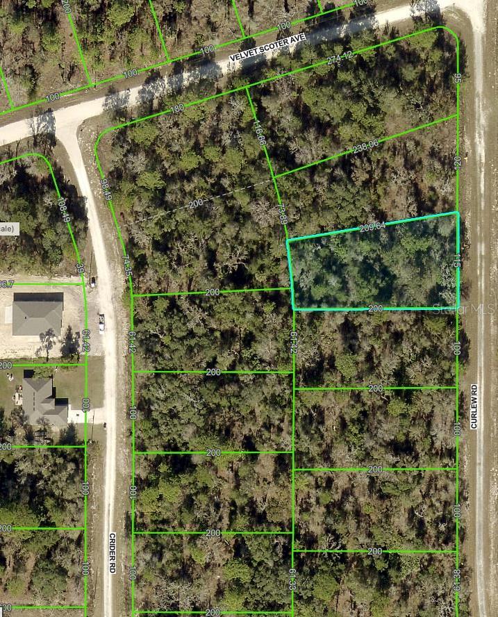 0 Curlew Rd, Brooksville, FL 34614