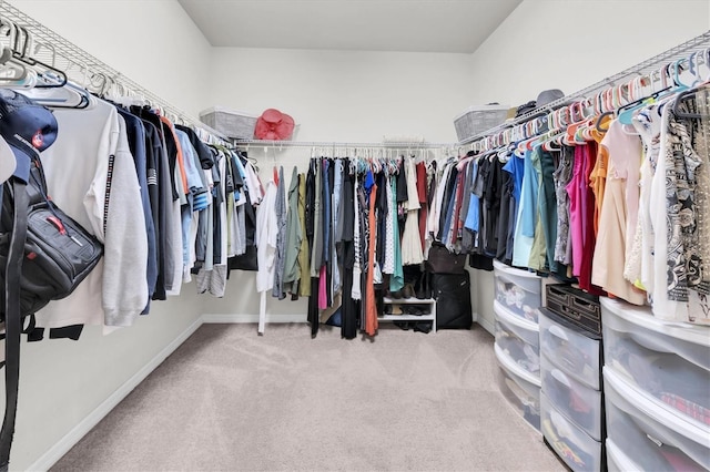 walk in closet featuring carpet