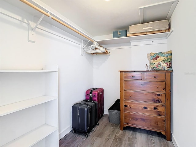 4936 Dory Dr, New Port Richey, FL 34652 - spacious closet with wood finished floors
