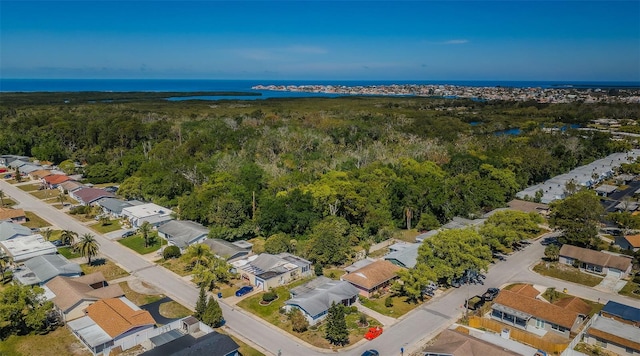 4107 Glissade Dr, New Port Richey, FL 34652 - birds eye view of property featuring a forest view and a water view