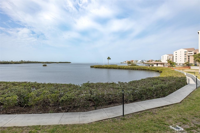 8251 Brent St Unit 918, Port Richey, FL 34668 - water view