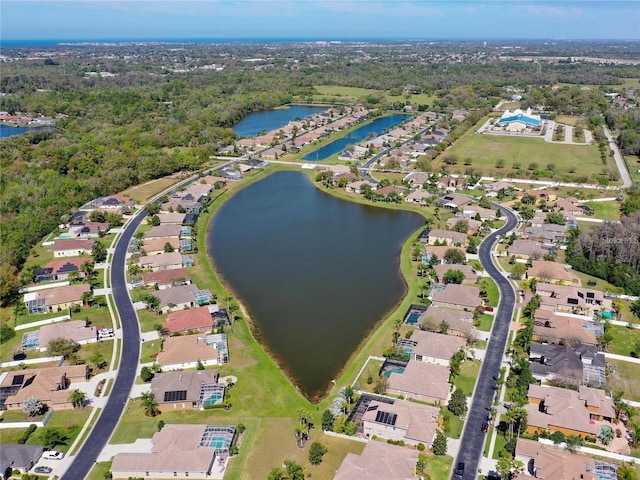 1709 Nodding Thistle Dr, Trinity, FL 34655 - photo 15