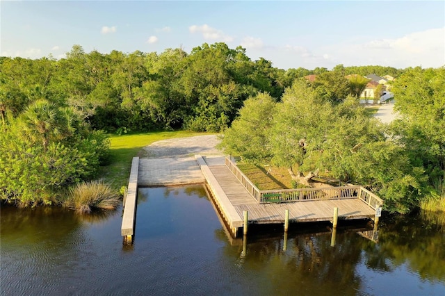 1709 Nodding Thistle Dr, Trinity, FL 34655 - photo 16