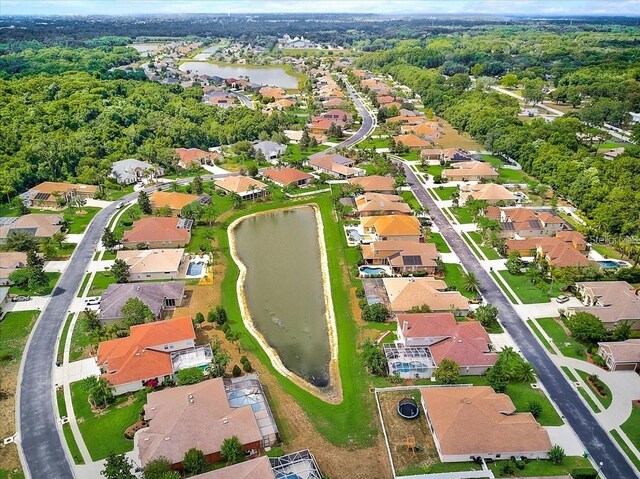 1709 Nodding Thistle Dr, Trinity, FL 34655 - photo 50