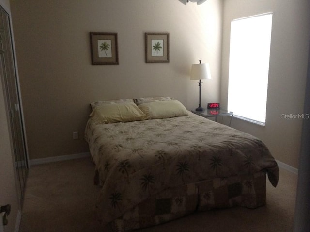 3850 Plantation Blvd, Leesburg, FL 34748 - bedroom featuring baseboards and carpet floors