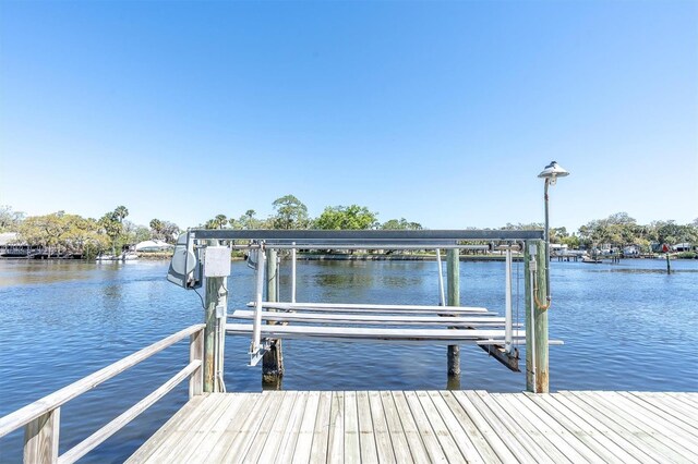 5433 Cotee River Dr, New Port Richey, FL 34652 - photo 8