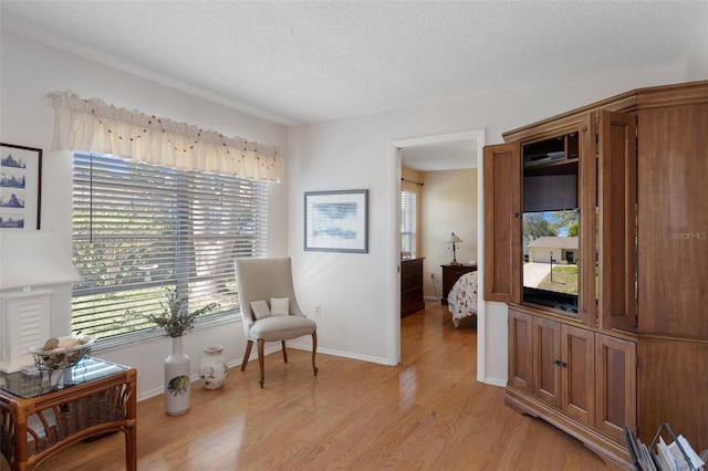 6530 Pine Meadows Dr, Spring Hill, FL 34606 - living area featuring baseboards, a textured ceiling, and light wood finished floors