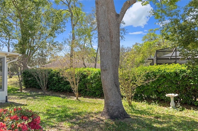 6530 Pine Meadows Dr, Spring Hill, FL 34606 - view of yard