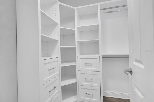 3465 Bumelia Ln, New Port Richey, FL 34655 - spacious closet with dark wood-type flooring