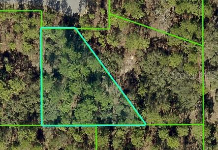 11334 Telephone Rd, Weeki Wachee, FL 34614 - photo 1