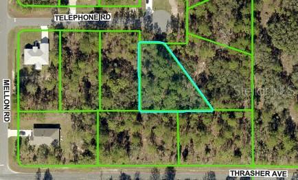 11334 Telephone Rd, Weeki Wachee, FL 34614 - photo 2