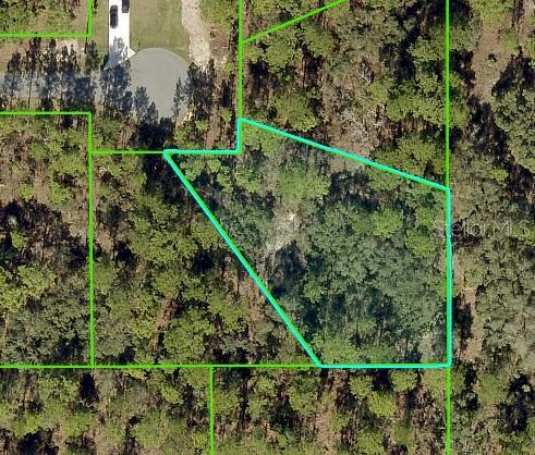 11342 Telephone Rd, Weeki Wachee, FL 34614 - photo 1