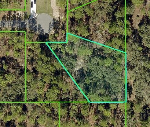 11342 Telephone Rd, Weeki Wachee, FL 34614 - photo 1