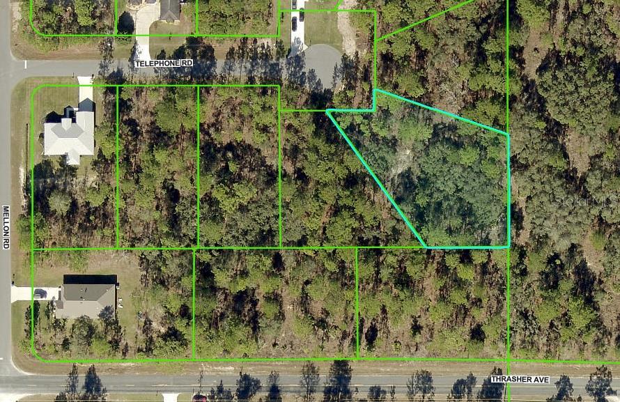 11342 Telephone Rd, Weeki Wachee, FL 34614 - photo 2