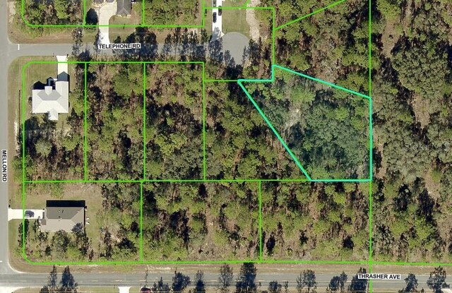 11342 Telephone Rd, Weeki Wachee, FL 34614 - photo 2