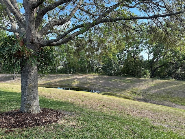 9348 Villa Entrada, New Port Richey, FL 34655 - view of yard with a water view