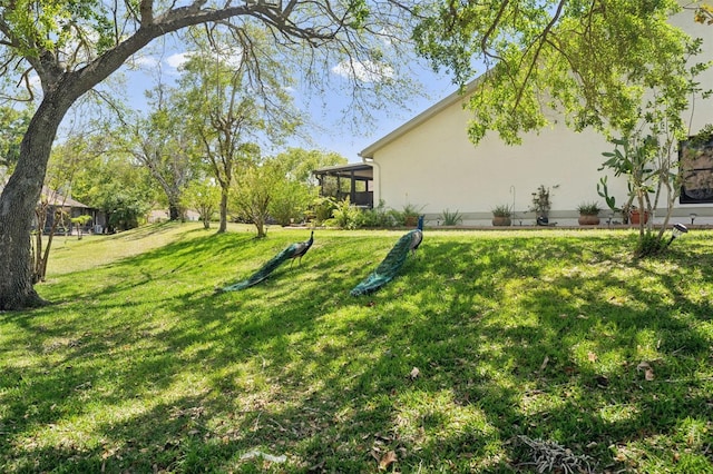 view of yard