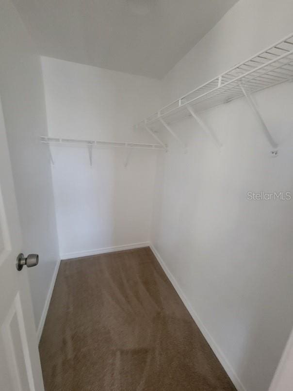 spacious closet with carpet flooring