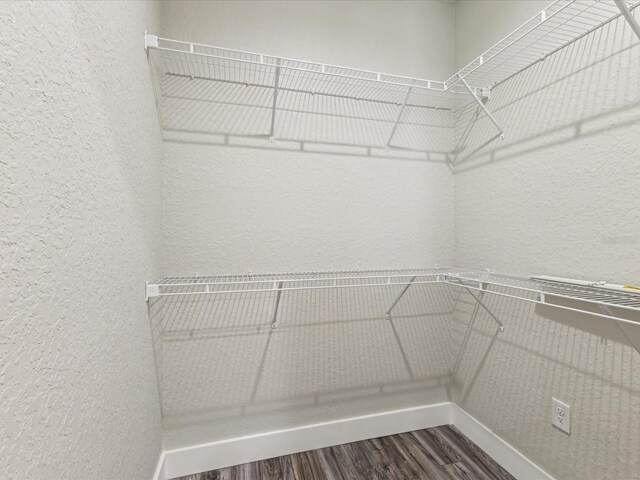 spacious closet featuring dark wood-style floors