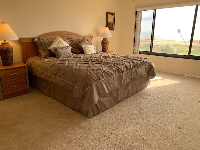 2600 Ocean Shore Blvd Unit 111, Ormond Beach, FL 32176 - bedroom featuring light carpet