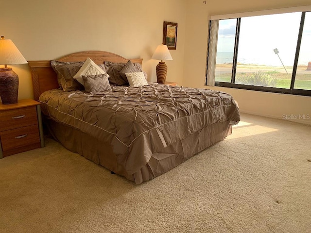 2600 Ocean Shore Blvd Unit 111, Ormond Beach, FL 32176 - bedroom with light colored carpet