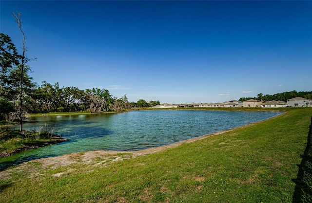 36419 Flats St, Zephyrhills, FL 33541 - water view