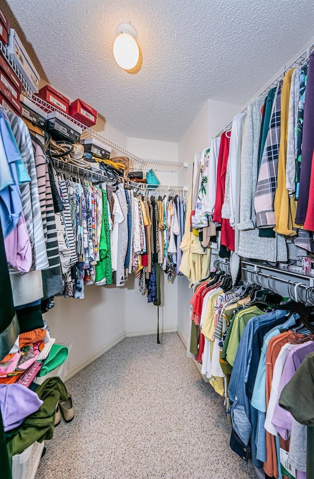 9636 Brookdale Dr, New Port Richey, FL 34655 - view of spacious closet