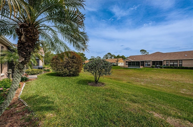 9636 Brookdale Dr, New Port Richey, FL 34655 - view of yard