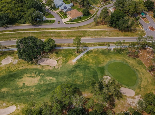 9636 Brookdale Dr, New Port Richey, FL 34655 - drone / aerial view
