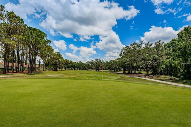 9636 Brookdale Dr, New Port Richey, FL 34655 - view of community featuring a lawn