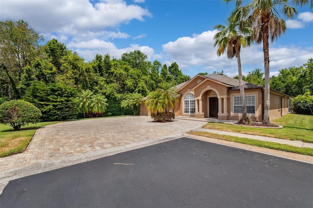 view of front facade featuring stucco siding, driveway, and a front lawn