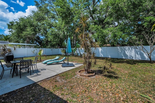 view of yard featuring a patio area and a fenced backyard
