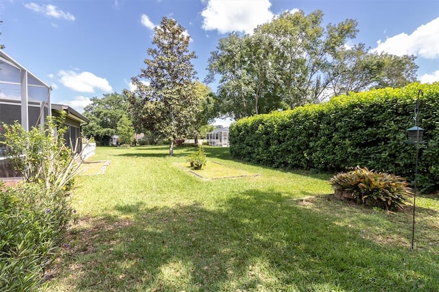 view of yard with a lanai