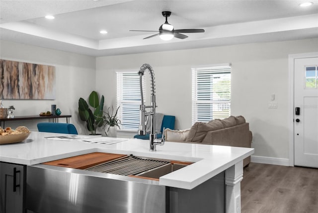3416 Lema Dr, Spring Hill, FL 34609 - kitchen with light countertops, recessed lighting, baseboards, a raised ceiling, and light wood-style floors
